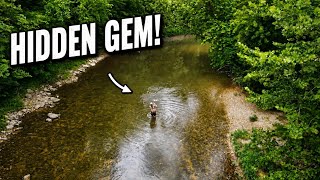 You Are SLEEPING On Illinois Creeks! - Scenic and FULL of Fish