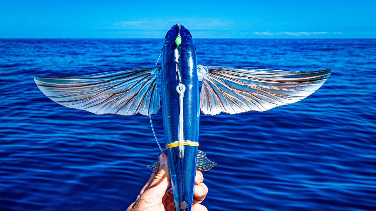 Flying Fish Lure (Just like a real fish) 