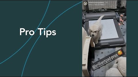 BrilliantPad Pro Tips