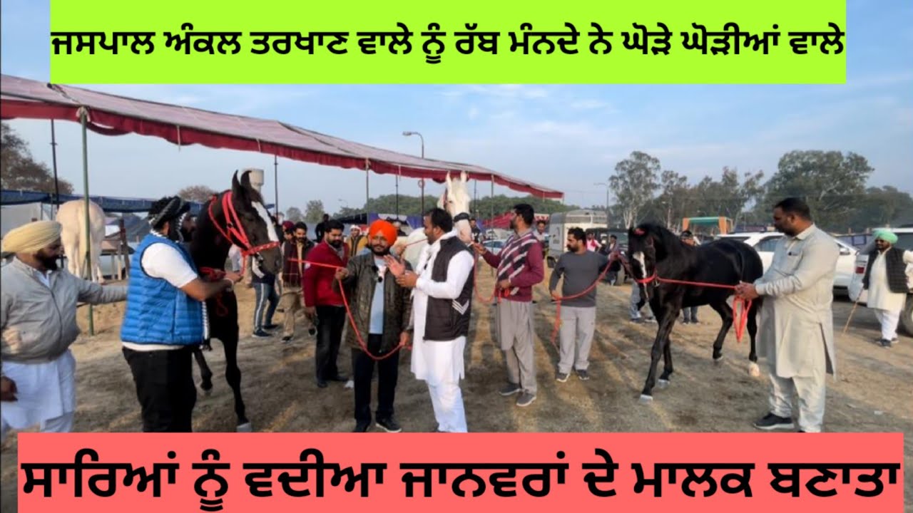 ਜਸਪਾਲ ਅੰਕਲ ਨੂੰ ਰੱਬ ਮੰਨਦੇ ਨੇ ਘੋੜੇ ਘੋੜੀਆਂ ਵਾਲੇ। ਸਾਰਿਆਂ ਨੂੰ ਵਦੀਆ ਜਾਨਵਰਾਂ ਦੇ ਮਾਲਕ ਬਣਾਤਾ। ਚੋਟੀ ਦੇ ਜਾਨਵਰ