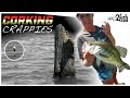 4 Reasons Crappie Jigs Outperform Bobber Fishing (Floats) - Wired2Fish