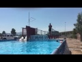Dog training game in your pool!