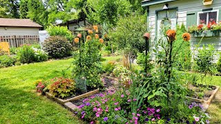How to Restore Your Garden After a Heatwave (Cleanup & Fertilizing)