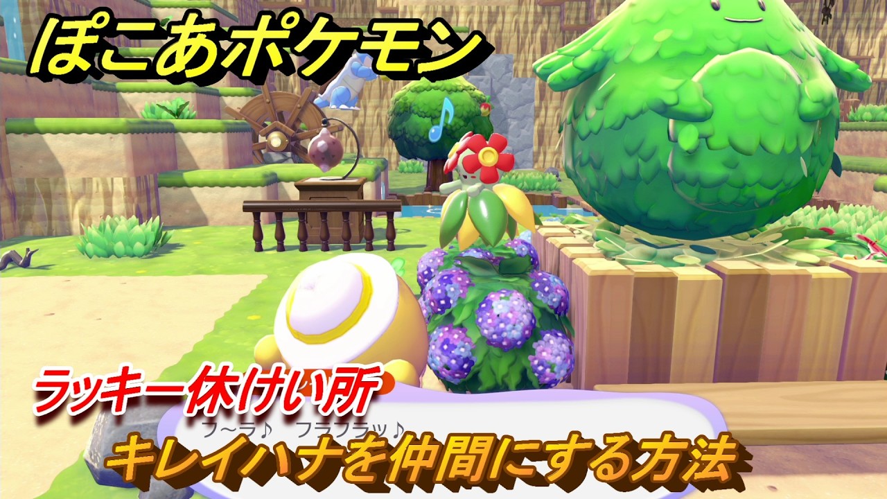 ぽこあポケモン キレイハナを仲間にする方法 ラッキー休けい所 