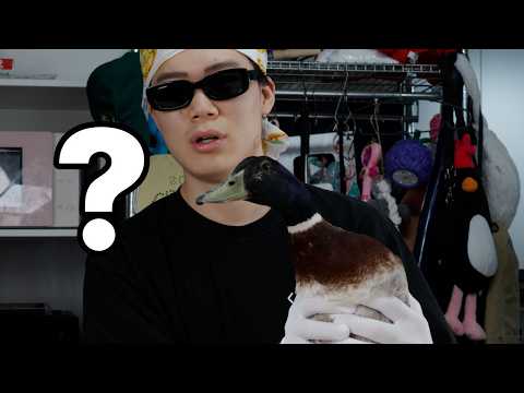 집에 누가 이상한걸 보냈습니다 도와주세요 thumbnail