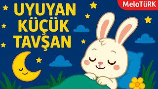 Uyuyan Küçük Tavşan Türkçe Çocuk Şarkısı Melotürk 2-6 Yaş Için Neşeli Müzik