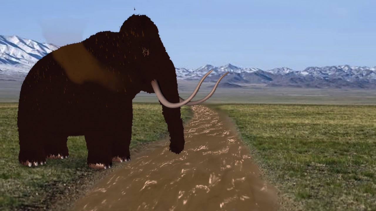 Life Of Woolly Mammoth Youtube