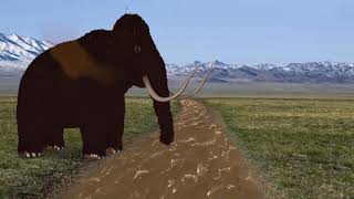 life of Woolly Mammoth