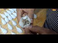 Amazing skills of handmade dumpling folding   momo folding short momos