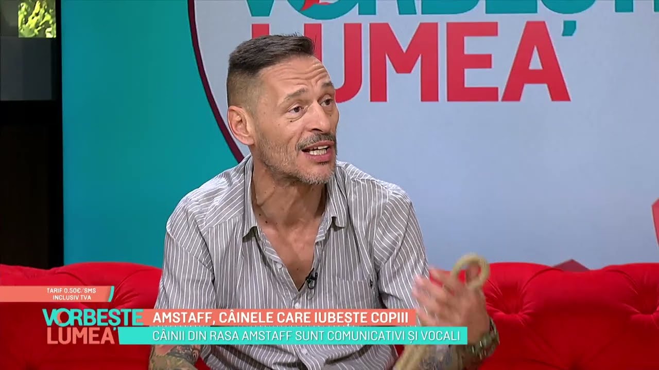 Amstaff: câinele care iubește copiii