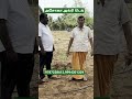பாலாஜி எலுமிச்சை  பெருநெல்லி இரண்டடுக்கு விவசாயம் #agriculture #farming #farmer #ashokaagritech