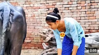 Suhana Official Vlogsuhana Hot Vlog Videosuhana Hot Video 