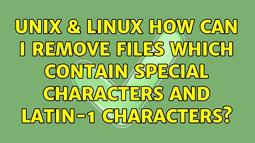 Unix & Linux: How can I remove files which contain special characters and Latin-1 characters?
