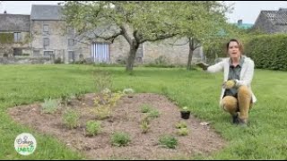 Comment Faire Et Aménager Un Parterre ?