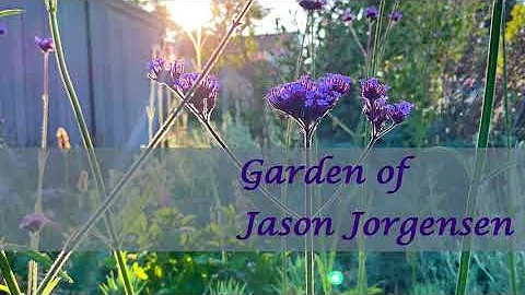 Jason Jorgensen: Virtual Meet the Board Tour 2020