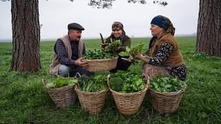 Wild Edible Plants – Traditional Village Cooking 🌱🌾 @clvoldepisodes