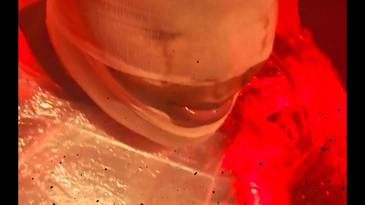 Shishie - MWEN LA PI RED (LYRICS VIDEO)