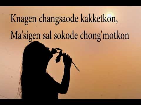 Masigen changsaode lyrics video by Saldorik S Dio