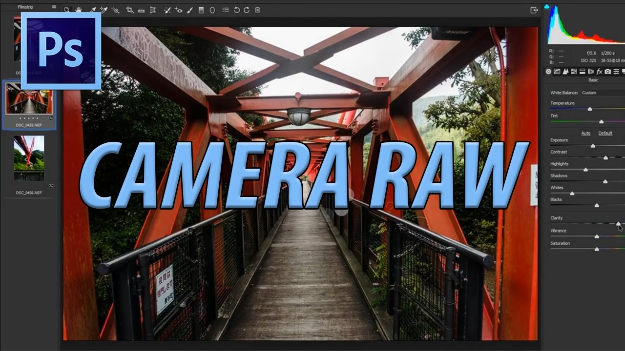download camera raw 8.7 for photoshop elements 11