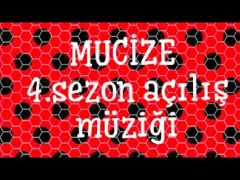 Mucize uğur böceği ile kara kedi &4.sezon açılış müziği 😱😱