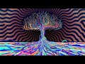 The Only Way I Can Make It Thru School -  MiZiK -  DXM