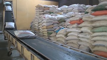 Đồng hành cùng doanh nghiệp: Cơ hội và thách thức cho doanh nghiệp xuất khẩu gạo Việt trong