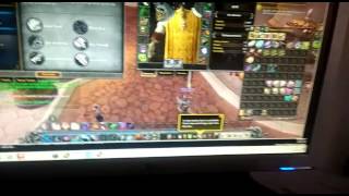wow freakz bug