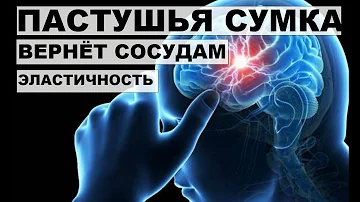 ПАСТУШЬЯ СУМКА.ЛЕЧЕБНЫЕ СВОЙСТВА.