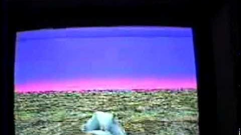 Atari Falcon030 Demoing