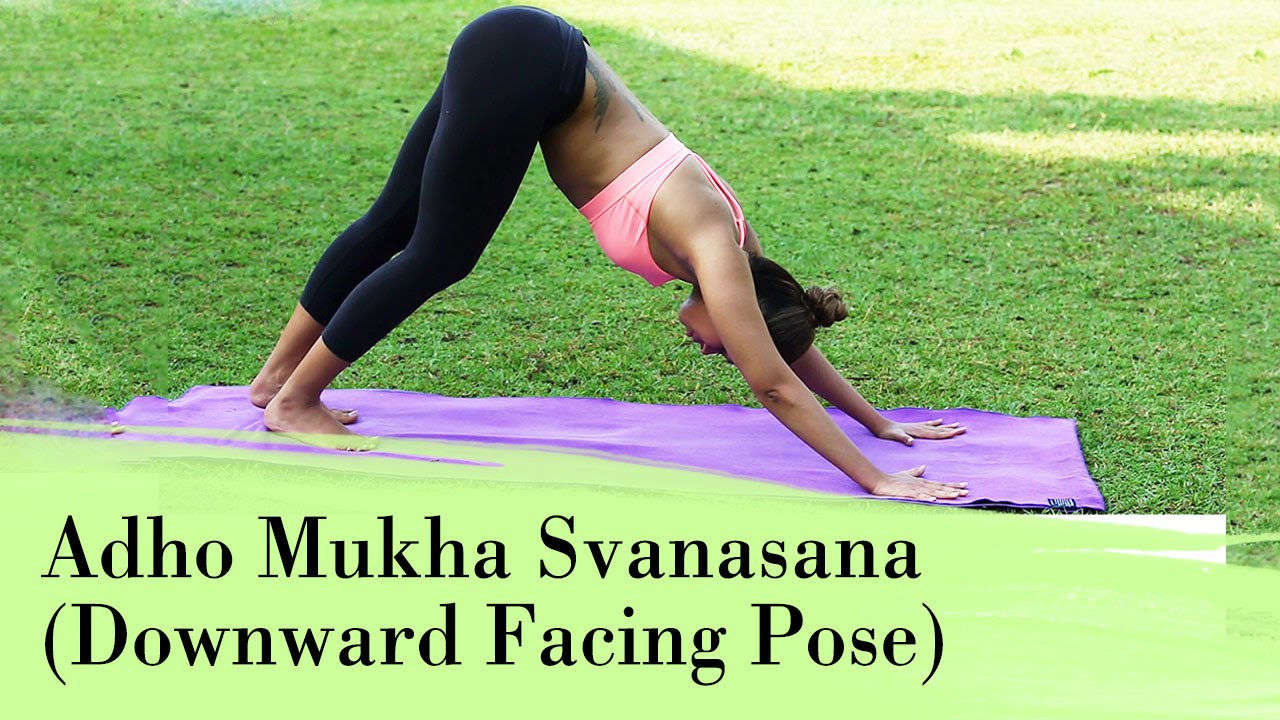 Yoga Asana - Adho Mukha Svanasana (Downward Facing Dog Pose) - Relieves  Stress & Depression - YouTube