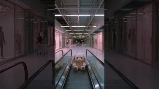 #dreamcore #weirdcore #liminalspaces #nostalgiacore #emptycore #glitchcore #strangecore #fyp #viral