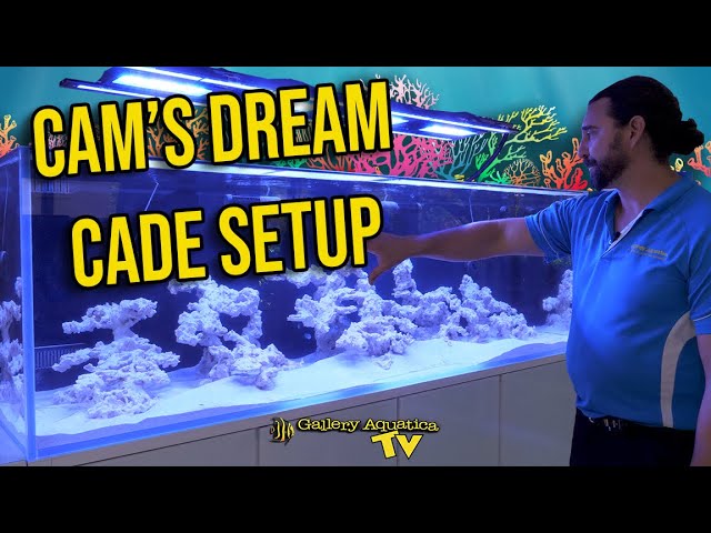 Cam's Dream Cade setup class=