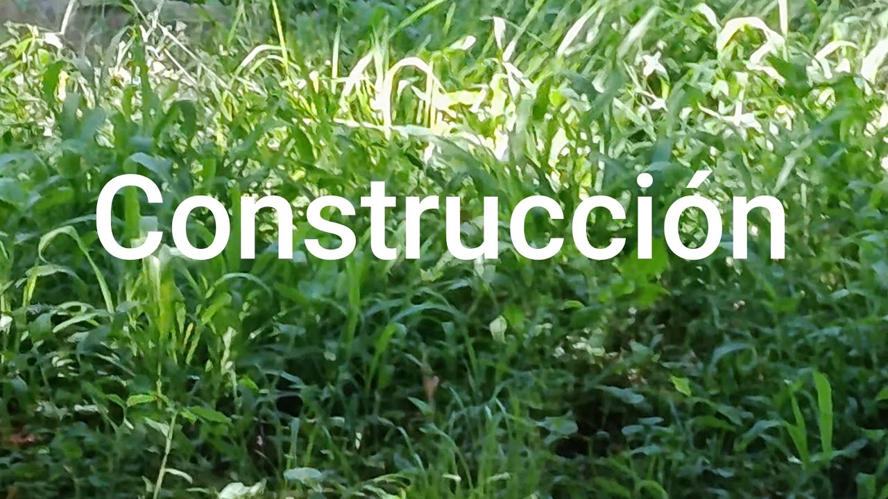 Construí en Minecraft. 🏗️👷🏼‍♂️