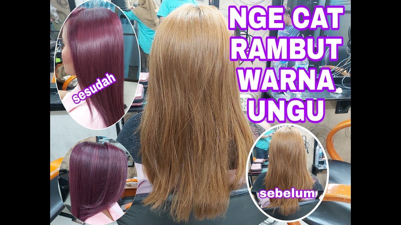 Cat Rambut Violet Info Terkini!