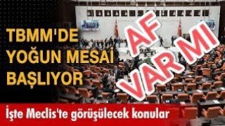 Af Var Mı Meclis Gündeminde #afhaber #af #afsondakika #genelaf #infazdüzenlemesi #cezaindirimi #khk