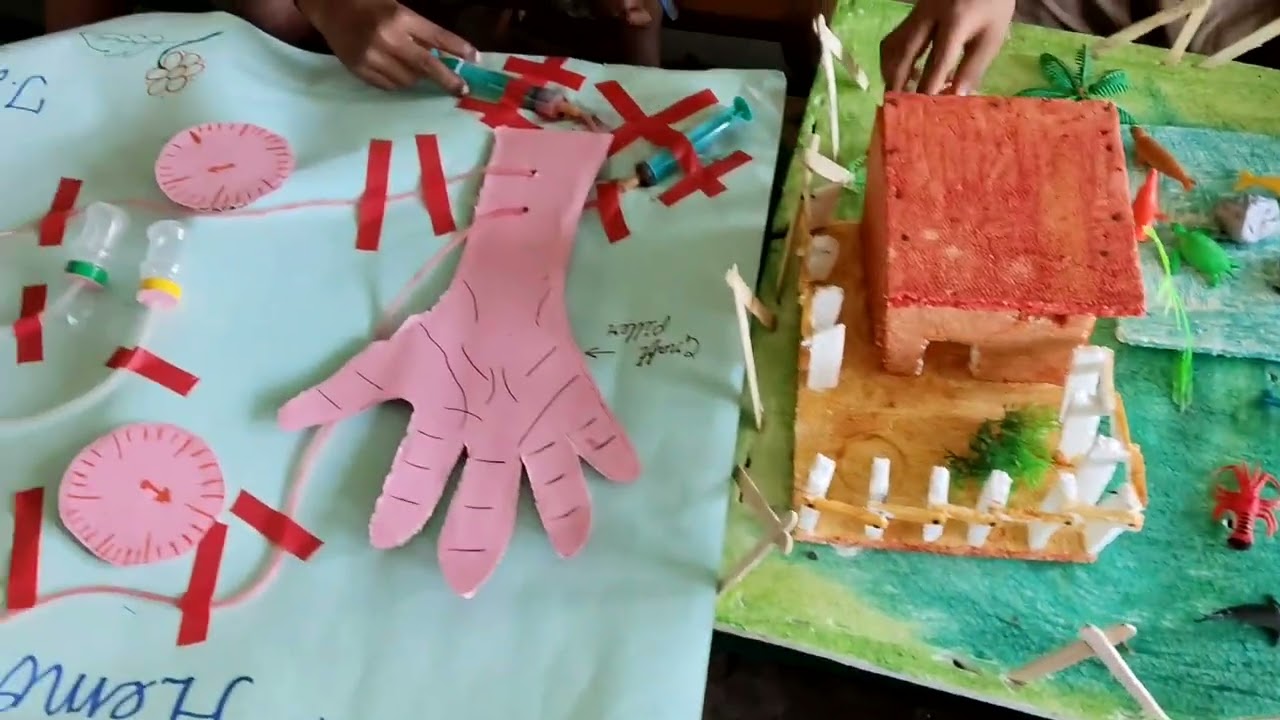 Science Expo Clips Part -02#school #teachersdiary 