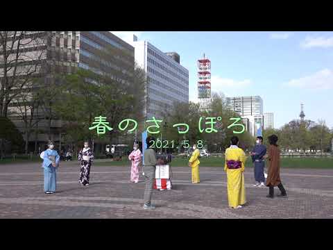 「百年桜」 春のさっぽろ