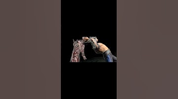 Liu Kang MK 11 Performs Tanya