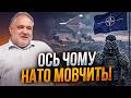 😳 Після удару по Румунії сталося дещо тривожне. Чого насправді боїться НАТО? / ЦИБУЛЬКО