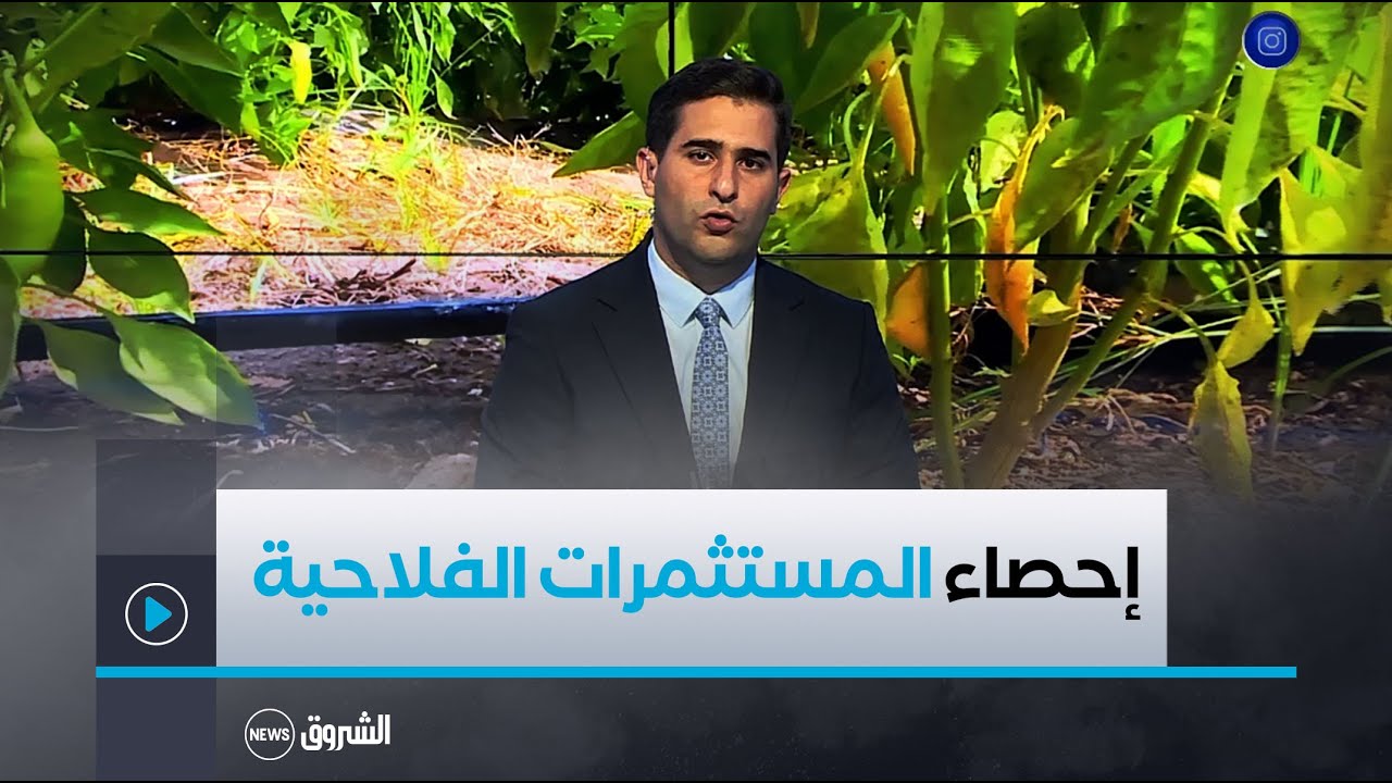 الإحصاء العام للفلاحة .. عدّ أكثر من 63 % من إجمالي المستثمرات الفلاحية عبر كامل التراب الوطني