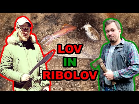 Lov in ribolov | Livestream z Gašperjem Bergantom