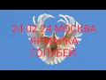 24.02.24 МОСКВА. СБОРНАЯ ЯРМАРКА ГОЛУБЕЙ. 3 часть #голуби#ярмарка#гули