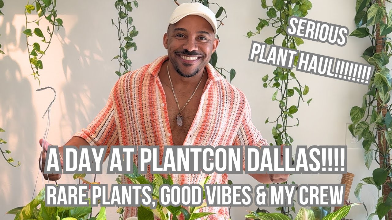 PlantCon Dallas 2025: редкие растения, продавцы и лучшее мероприятие, посвященное комнатным расте...