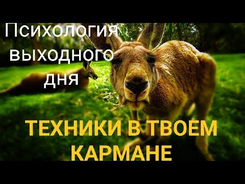 Видео: 6 способов снять стресс