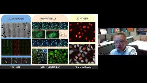 UI High Throughput Screening Facility