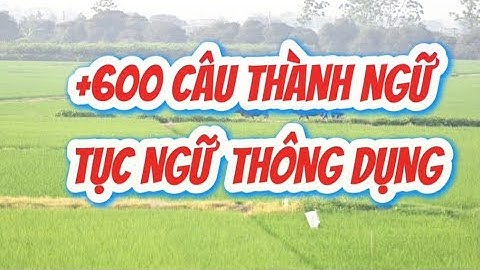 +600 Câu thành ngữ, tục ngữ hay thường gặp trong giao tiếp|| Ca dao tục ngữ Việt Nam