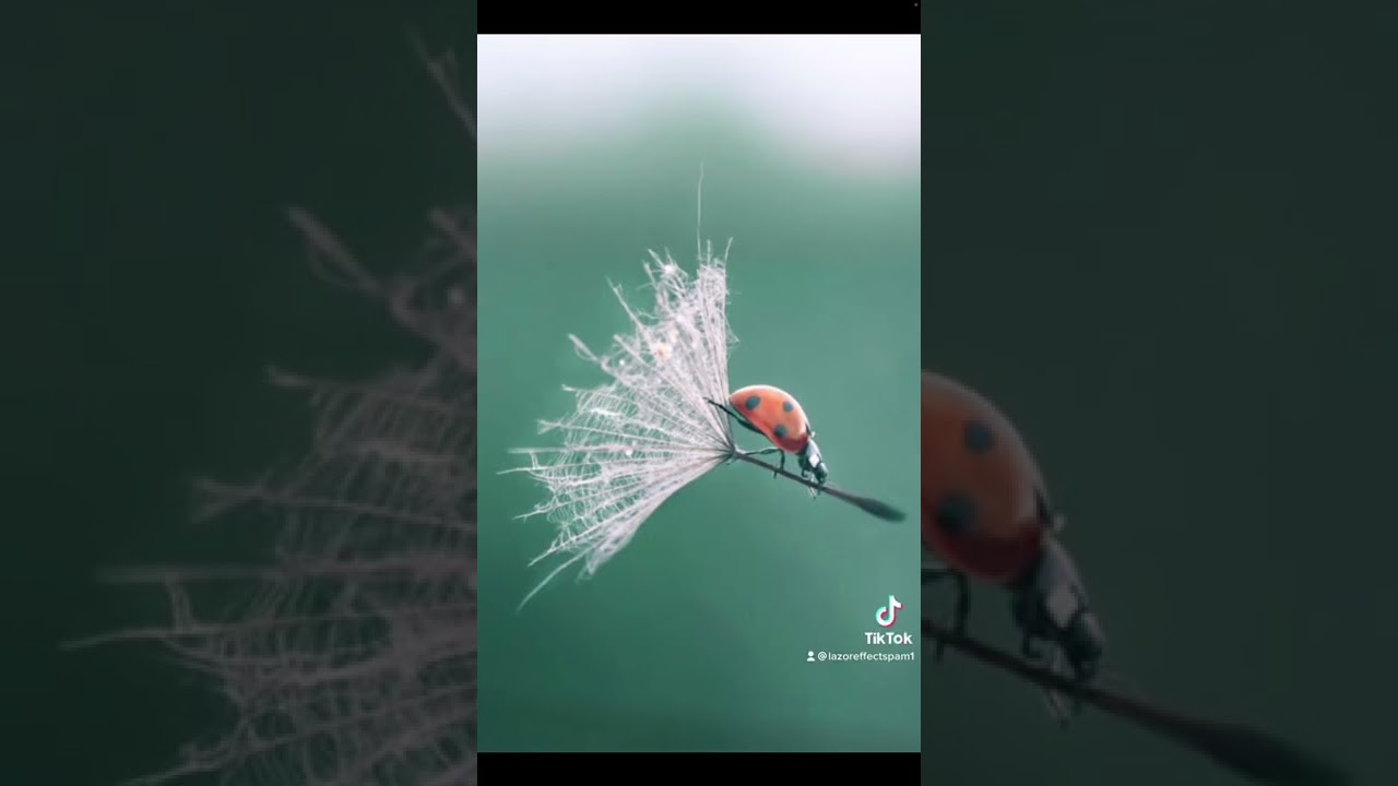 Pictures That Are Perfectly Timed 