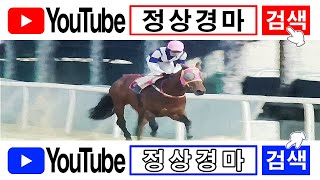 5/24(토)