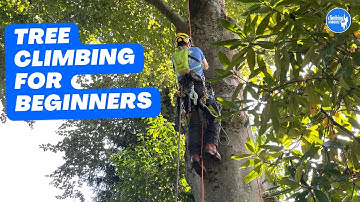 Basic climbing techniques: Basic tree ascent