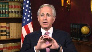 Senator Bob Corker and Public Art